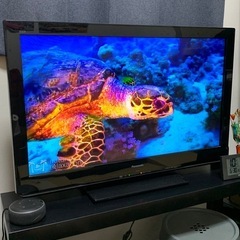  Panasonic VIERA(7/4まで
)の画像