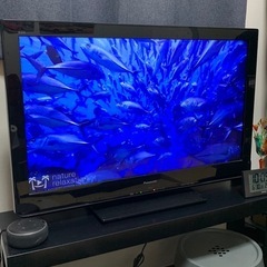  Panasonic VIERA(7/4まで
)の画像