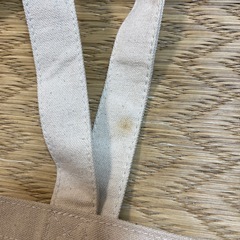 リラックマバッグ(Joshin粗品) 持ち手シミありの画像