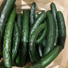 きゅうり3本
