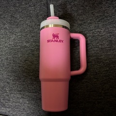 スタンレー　真空スリムクエンチャー