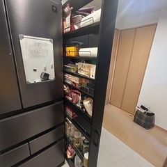 アイリスオオヤマ の画像