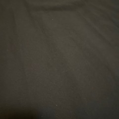 Zara アコーディオンスカートの画像