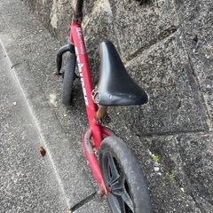 ストライダーの画像