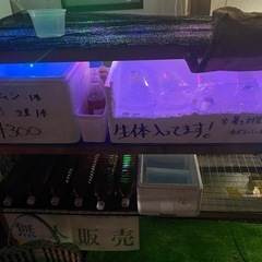 無人販売開始【24時間！365日！】の画像