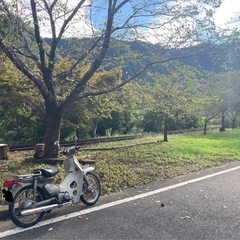スーパーカブ50 角目 シルバーの画像