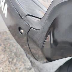 シグナスx　2型の画像