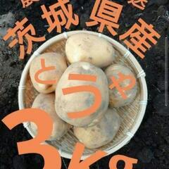 2025年収穫☆新じゃが「とうや」
