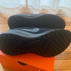 NIKE LEVOLUTION7
の画像