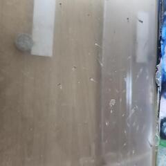 めだかミックス針子③の画像