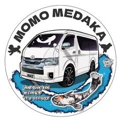 メダカ稚魚・卵　対面販売　各種リスト