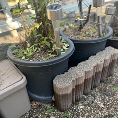 プランター　植木鉢　いろいろおまとめ　の画像