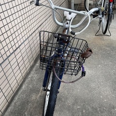 中古車 ルイガノ LouisGarneau 自転車 マウンテンバイク オフロード モトクロス キッズ ジュニア 子供 ユニセックス メンズ ボーイズ 20インチの画像