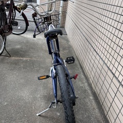 中古車 ルイガノ LouisGarneau 自転車 マウンテンバイク オフロード モトクロス キッズ ジュニア 子供 ユニセックス メンズ ボーイズ 20インチの画像