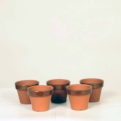 植木鉢、譲ってください