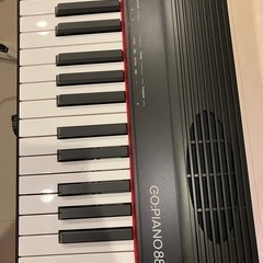 Roland GO:PIANO88

