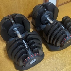 ダンベル4-40.5kg　ピン式　宇都宮に取りに来れる人 栃木県 宇都宮市のダンベルの中古が安い！激安で譲ります・無料