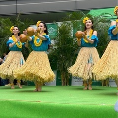 戸塚フラダンス教室🌺中学生〜50.代までのワヒネクラス   新規生徒様募集中❗️の画像