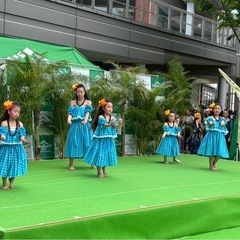 【戸塚フラダンス教室】子供フラダンス体験募集中🌺 無料体験レッスン ケイキ子供クラスの画像