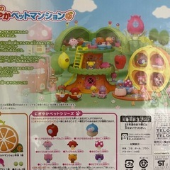 こえだちゃん　　みかんのにぎやかペットマンションの画像