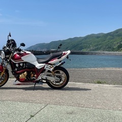 市内　50歳です！