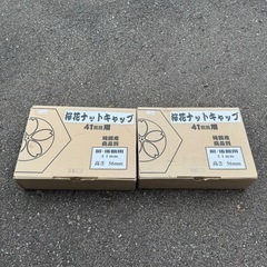 トラック　タイヤ　ナット　キャップの画像