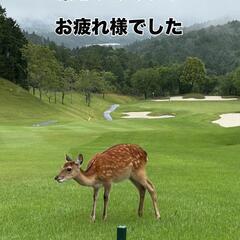 ゴルフ仲間募集