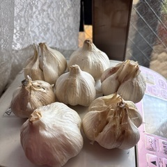 無農薬の野菜達
の画像
