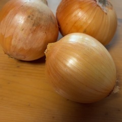 無農薬の野菜達
の画像