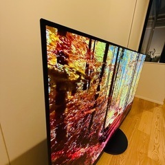 Panasonic 55型 2020年製VIERA TH-55HZ1000の画像