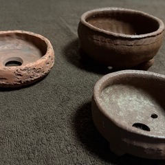 苔玉鉢 鉢 小鉢の画像