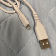  Lightning充電コード１m／２口充電器のセットの画像