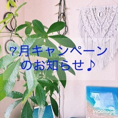 7月キャンペーンのお知らせ⋆͛📢⋆