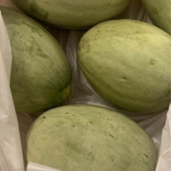 メロン❤️瓜　５個　今年最後になります
