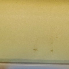 ロールスクリーン(プルコード式) 薄い緑　65 x 185cmの画像