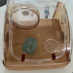 ハムスター飼育セット (かおち) 岐阜のその他の中古あげます