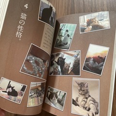 みんなの猫式生活 本の画像