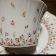 ティーカップ　ソーサー　ungaroの画像