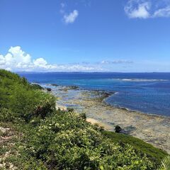 初級~中級（テニス初めての方歓迎）の画像