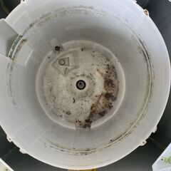 配送設置込み　2018年製　東芝4.5K洗濯機　分解クリーニング済みの画像
