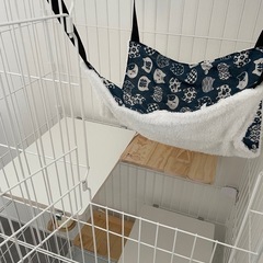 猫のケージの画像
