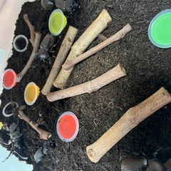 カブトムシのメス無料で差し上げます。