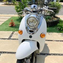 ヤマハ　原付　50cc ビーノ　VINOの画像