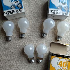 未使用品　オーム電機 シリカ白熱電球  　口金２６　２個入り　３セット　４０W×１・１００W×２の画像