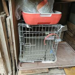 柴犬　ペット用品まとめての画像