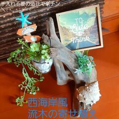 西海岸風流木の置物　贈答用　プレゼントにも