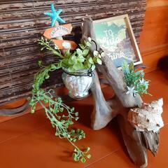 西海岸風流木の置物　贈答用　プレゼントにもの画像