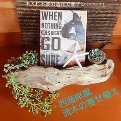 西海岸風流木の置物　プレゼント　贈答用にも
