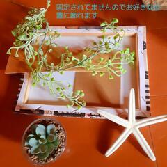 西海岸風流木の置物　プレゼント　贈答用にもの画像