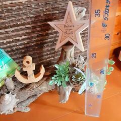 西海岸風流木の置物　プレゼント　贈答用にの画像